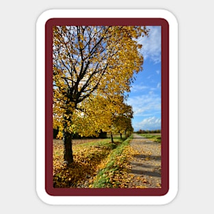 Autumn in Rural North East Italy Sticker